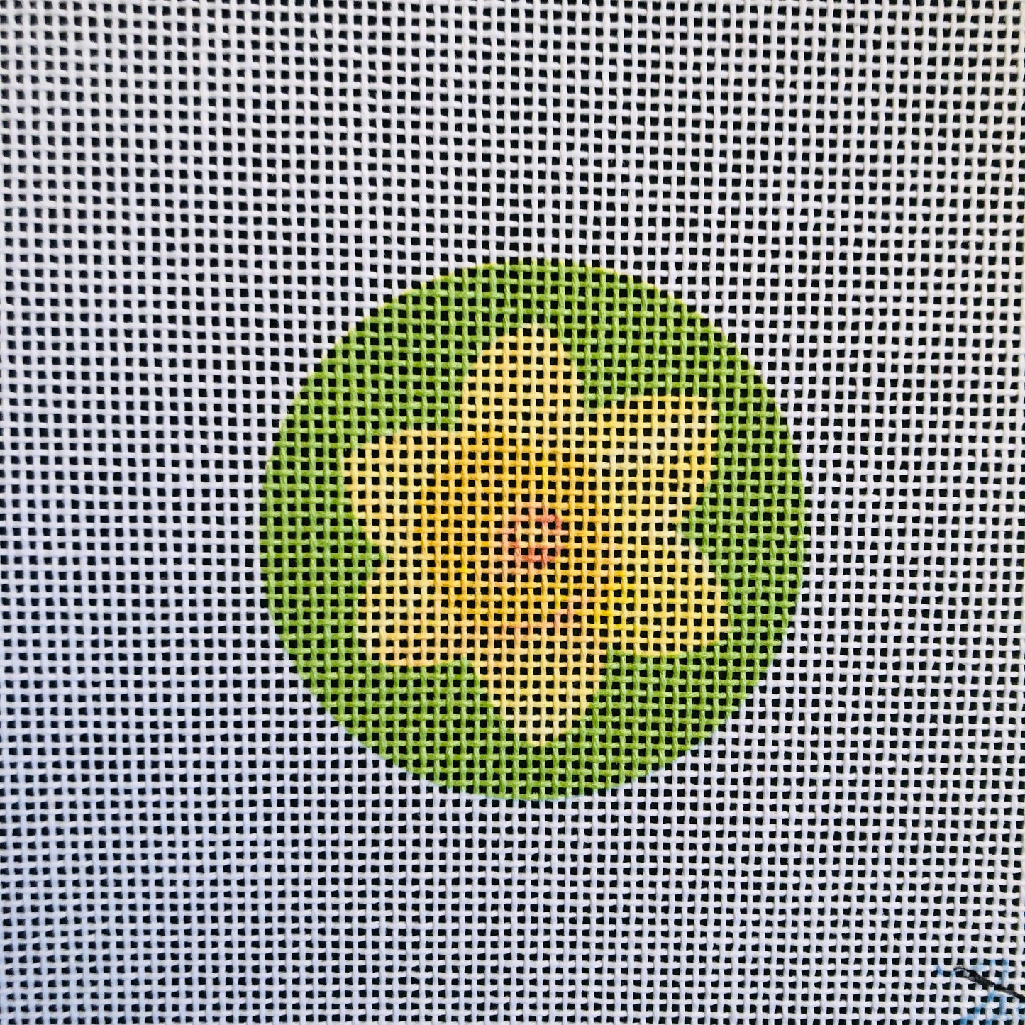 Compact Kit - Daffodil